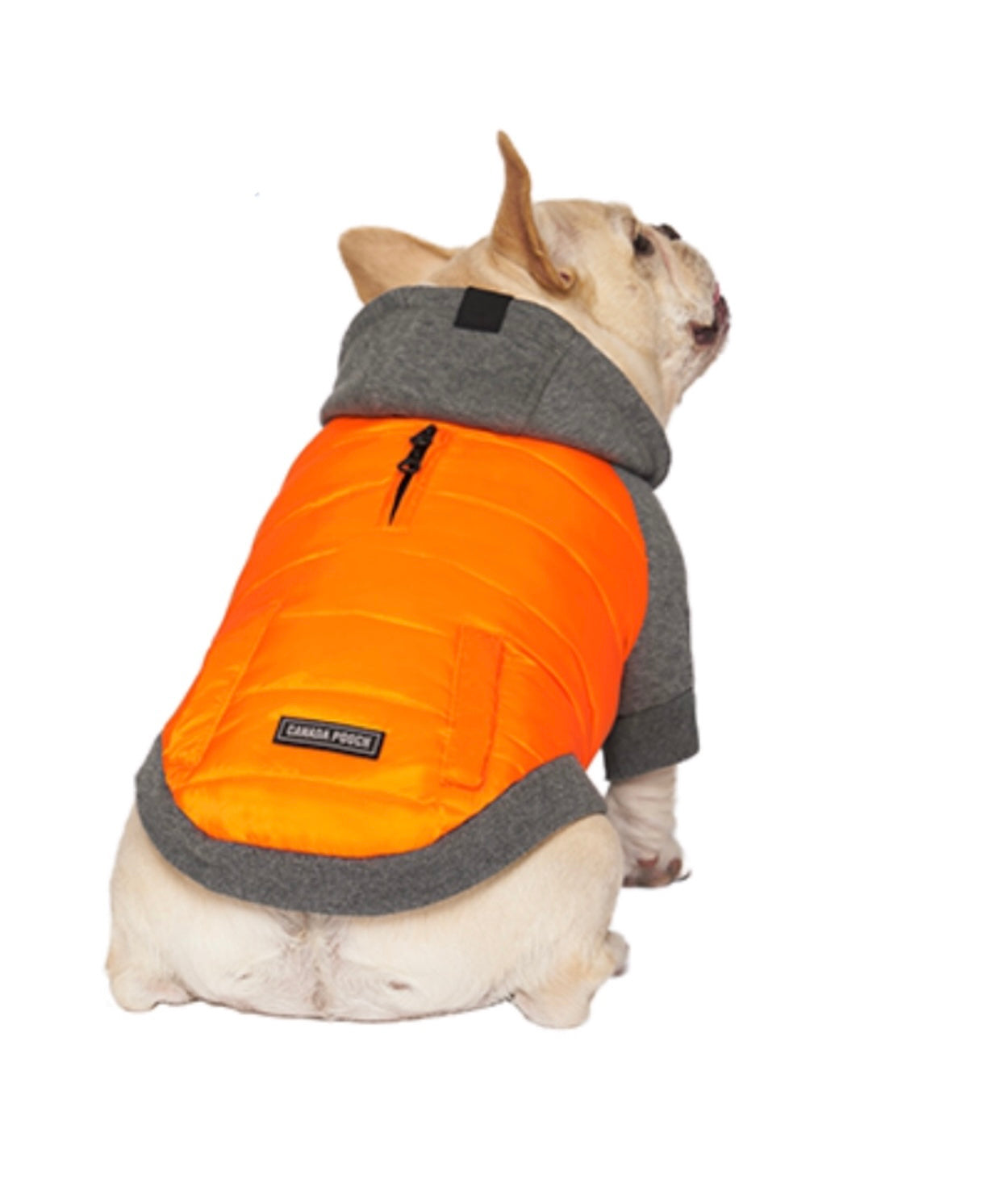 Canada Pooch Hybrid Hoodie Jacket