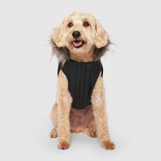 Canada Pooch Eco+ Alaskan Army Parka Black