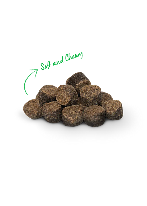 Open Farm Be Good Bites Grass-Fed Beef Recipe Soft & Chewy Dog Treats