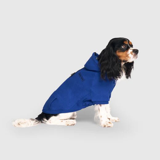 Canada Pooch Eco+ Everyday Hoodie Cobalt