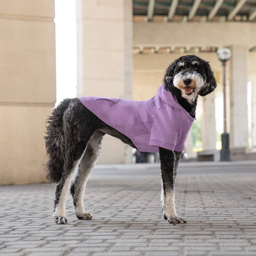 Canada Pooch Eco+ Everyday Hoodie Lilac