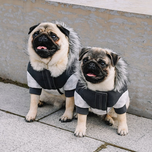 Canada Pooch Eco+ True North Parka White