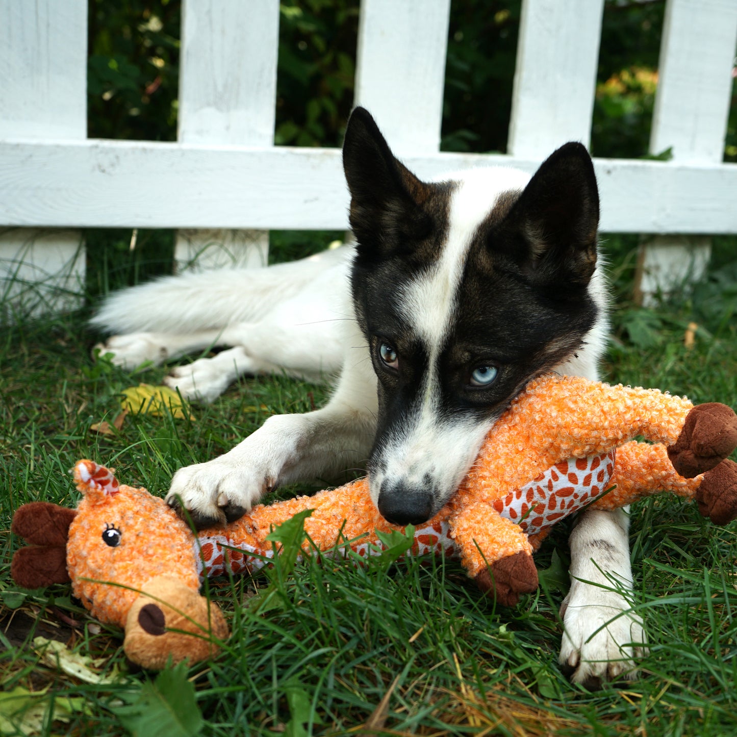 Kong Shakers Luvs Giraffe